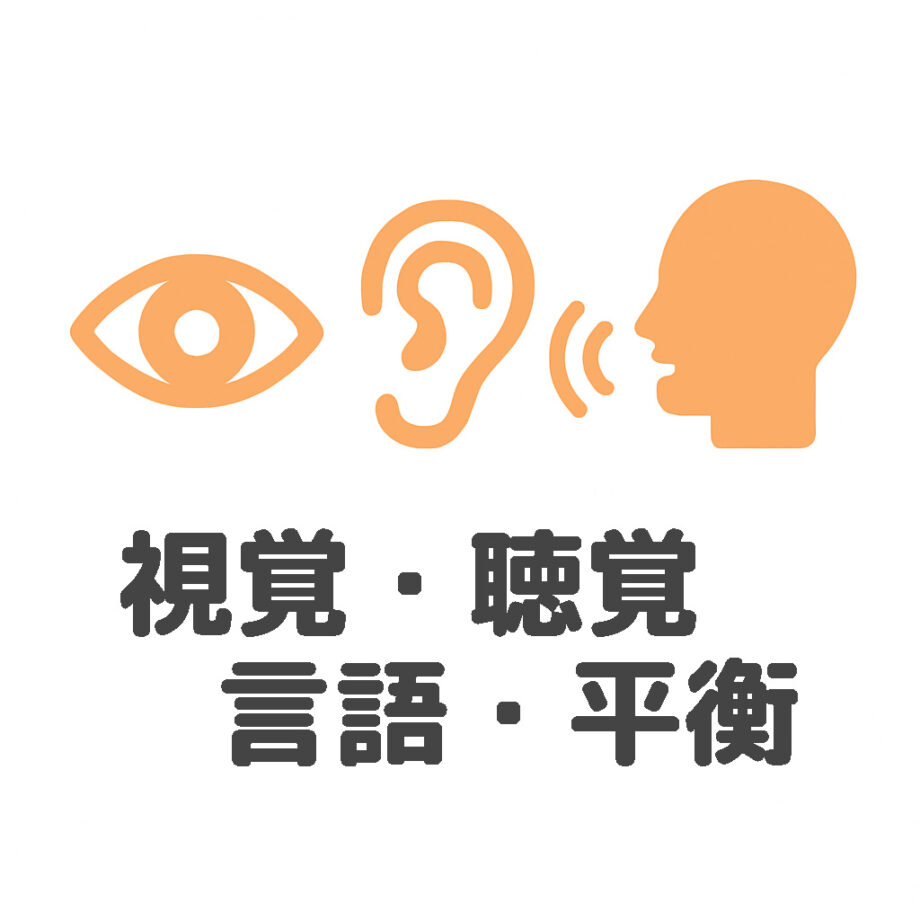 視覚・聴覚・言語・平衡